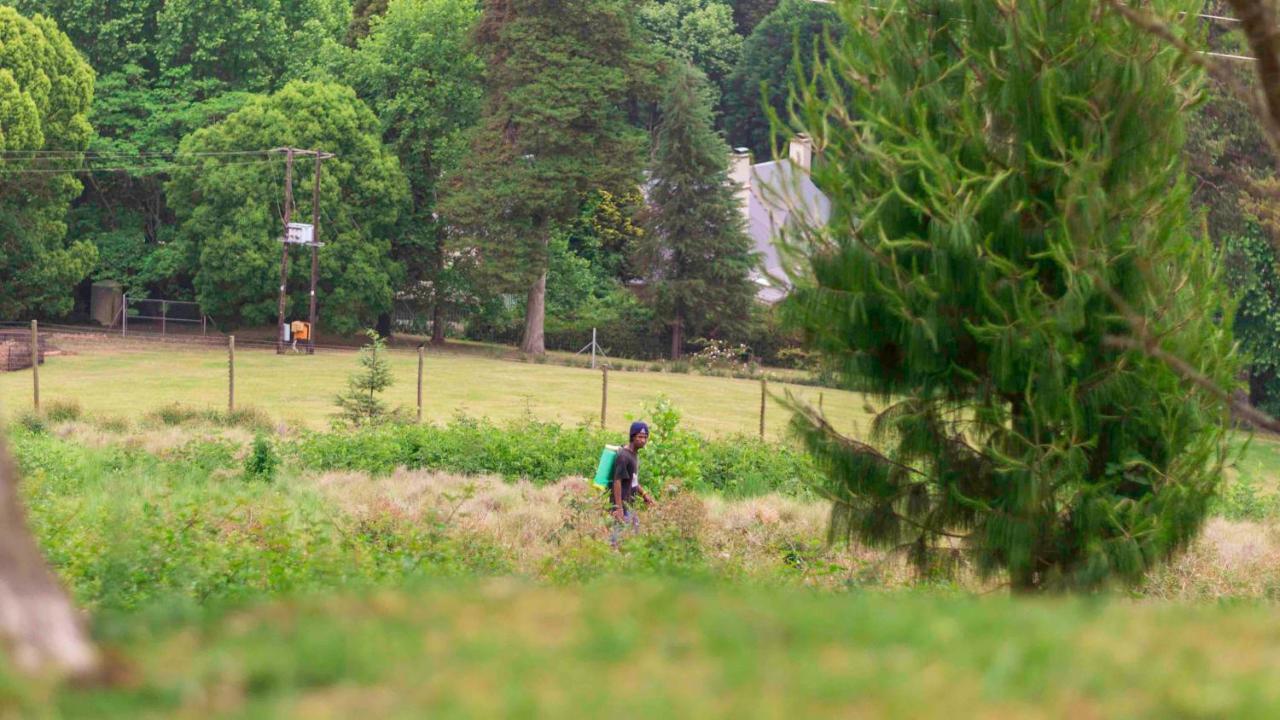 Arum Hill Lodge Balgowan Екстериор снимка